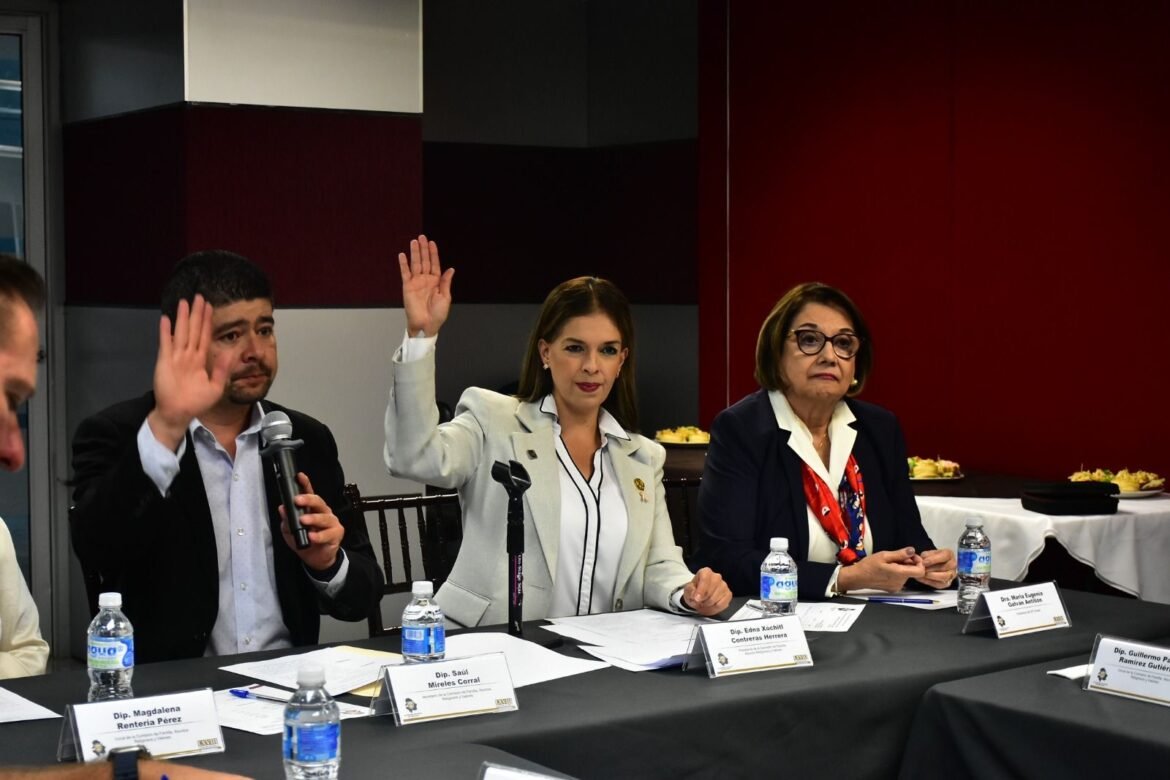 13868d1d-afd3-49e8-b9cc-5ccb3b38edfa