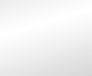 Top Selling Multipurpose WP Theme