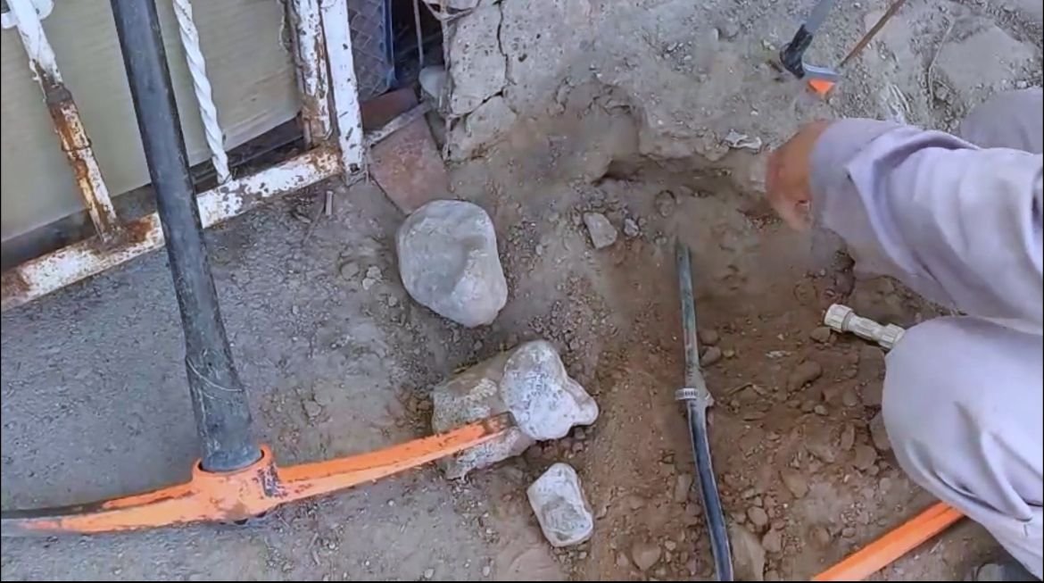 462d1dd7-2f83-4f62-a11f-95dac0786d59