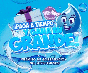 Top Selling Multipurpose WP Theme