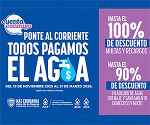 Top Selling Multipurpose WP Theme