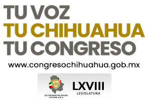 Top Selling Multipurpose WP Theme