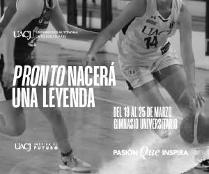 Top Selling Multipurpose WP Theme