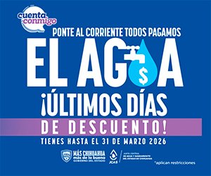 Top Selling Multipurpose WP Theme