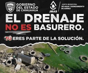 Top Selling Multipurpose WP Theme