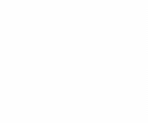 Top Selling Multipurpose WP Theme