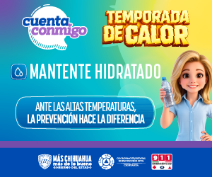 Top Selling Multipurpose WP Theme