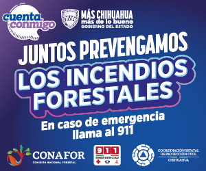 Top Selling Multipurpose WP Theme